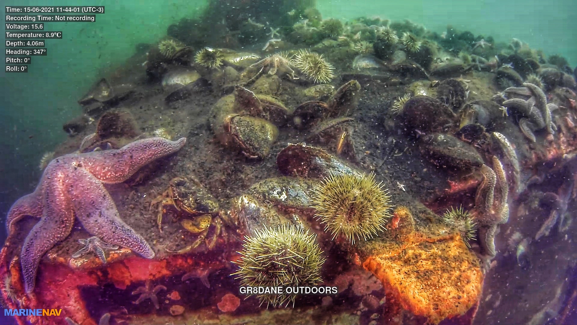 Gr8Dane Marine Services operations